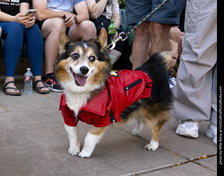 2024 Tour de Corgi - tour