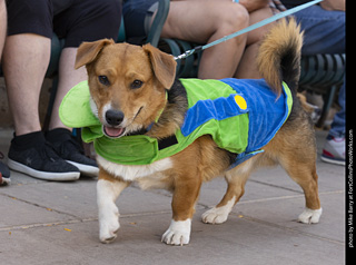 2024 Tour de Corgi - tour