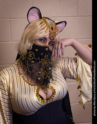 Wicked West Comic Expo 2025