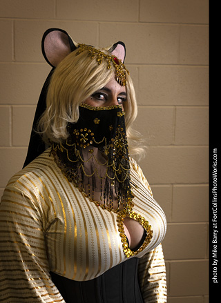 Wicked West Comic Expo 2025