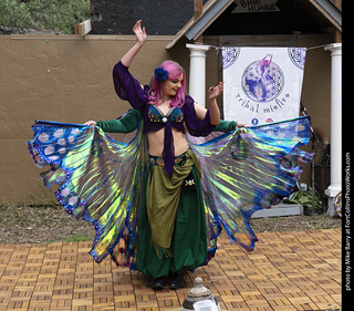 Belly Dancers at CMF 2025