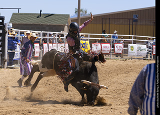 Never Summer Rodeo 2025