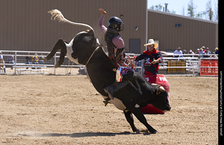 Never Summer Rodeo 2025