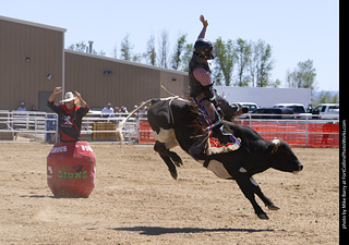 Never Summer Rodeo 2025