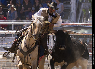 Never Summer Rodeo 2025