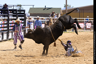 Never Summer Rodeo 2025