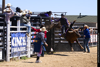 Never Summer Rodeo 2025