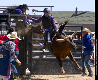 Never Summer Rodeo 2025