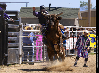 Never Summer Rodeo 2025