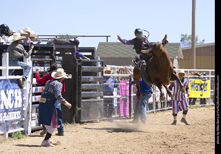 Never Summer Rodeo 2025