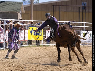 Never Summer Rodeo 2025