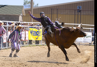 Never Summer Rodeo 2025