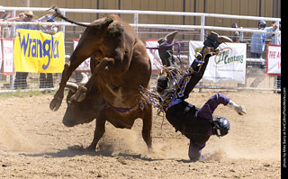 Never Summer Rodeo 2025