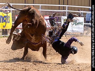 Never Summer Rodeo 2025 #5