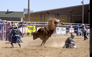 Never Summer Rodeo 2025