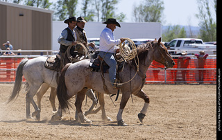 Never Summer Rodeo 2025