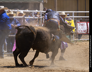 Never Summer Rodeo 2025