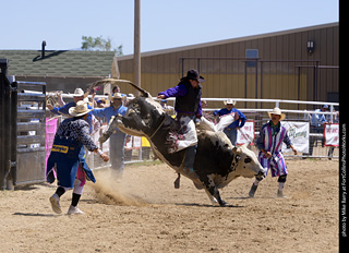 Never Summer Rodeo 2025