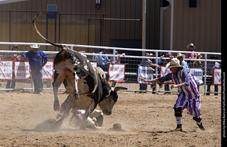 Never Summer Rodeo 2025