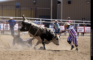 Never Summer Rodeo 2025