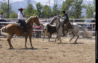 Never Summer Rodeo 2025