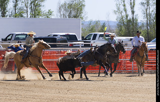 Never Summer Rodeo 2025