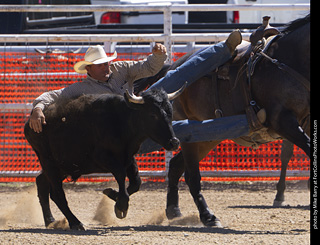 Never Summer Rodeo 2025