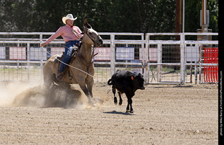Never Summer Rodeo 2025