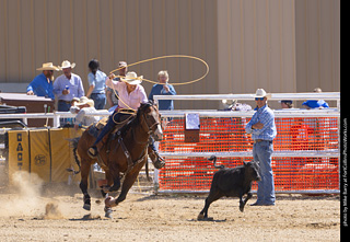 Never Summer Rodeo 2025