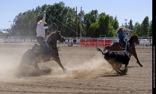 Never Summer Rodeo 2025