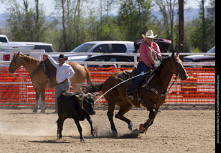 Never Summer Rodeo 2025