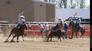 Never Summer Rodeo 2025