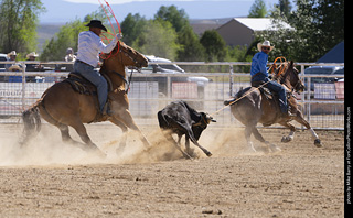 Never Summer Rodeo 2025