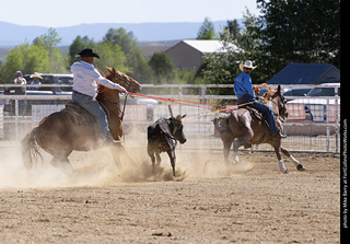 Never Summer Rodeo 2025