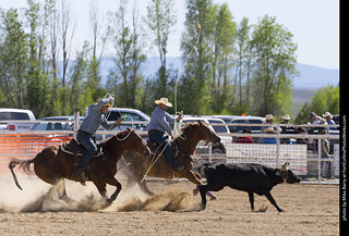 Never Summer Rodeo 2025