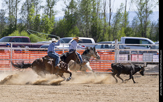 Never Summer Rodeo 2025