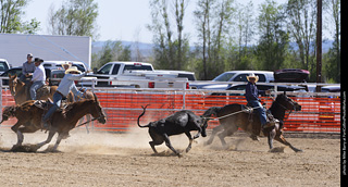 Never Summer Rodeo 2025