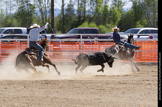 Never Summer Rodeo 2025