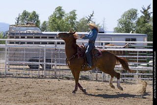 Never Summer Rodeo 2025