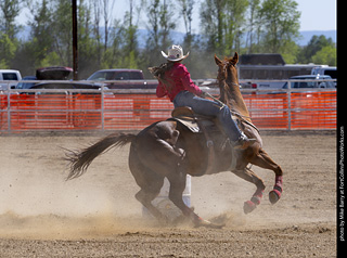 Never Summer Rodeo 2025