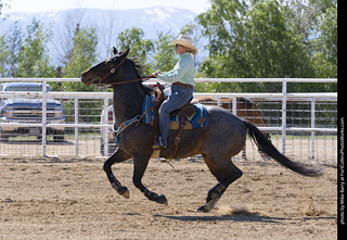Never Summer Rodeo 2025