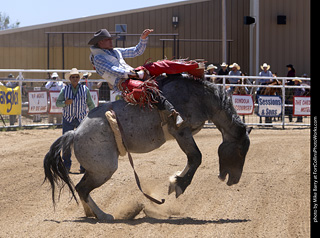 Never Summer Rodeo 2025