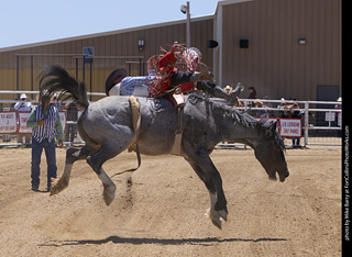 Never Summer Rodeo 2025