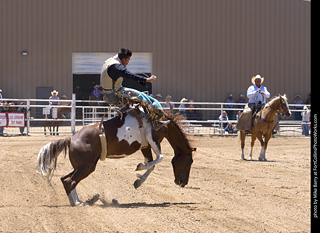 Never Summer Rodeo 2025