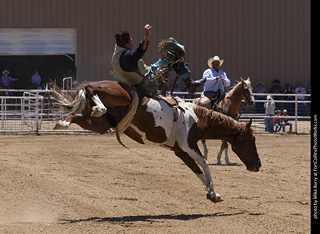 Never Summer Rodeo 2025