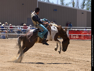 Never Summer Rodeo 2025