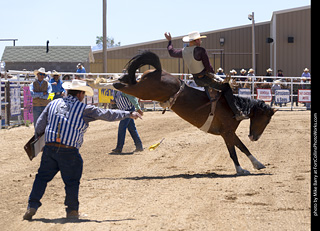 Never Summer Rodeo 2025