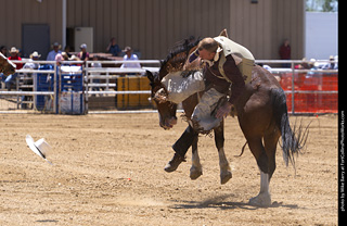 Never Summer Rodeo 2025