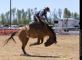 Never Summer Rodeo 2025