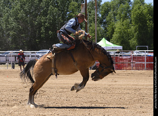 Never Summer Rodeo 2025